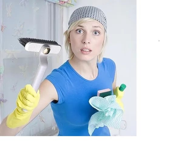 Floor Scrub And Bathroom Tile Cleaning Brush